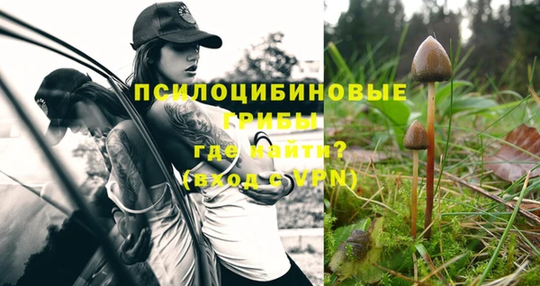 дмт Абдулино