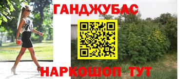 шишки Аргун