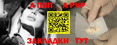 шишки Аргун