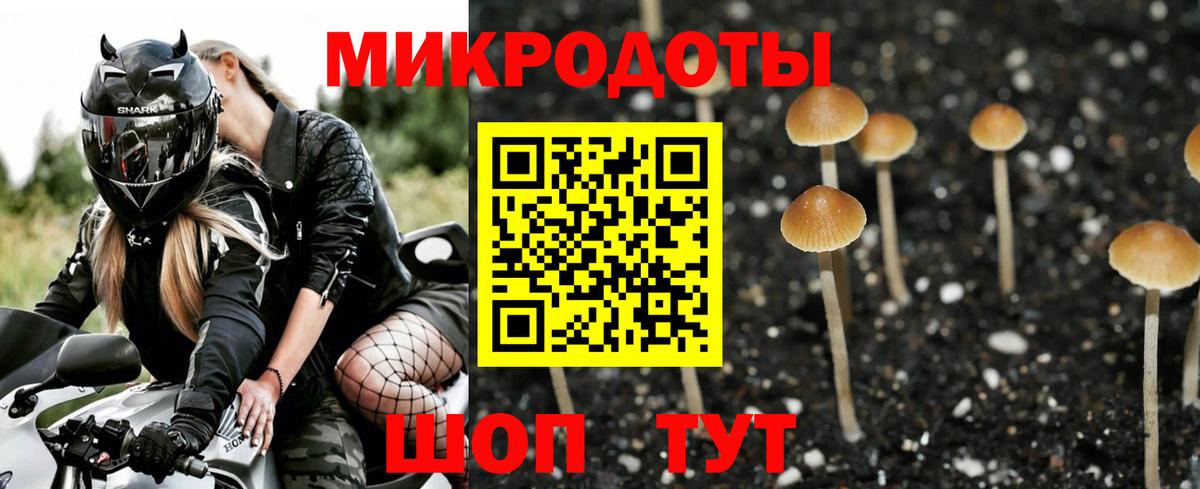 Россошь  Галлюциногенные грибы Cubensis  Вход с VPN 