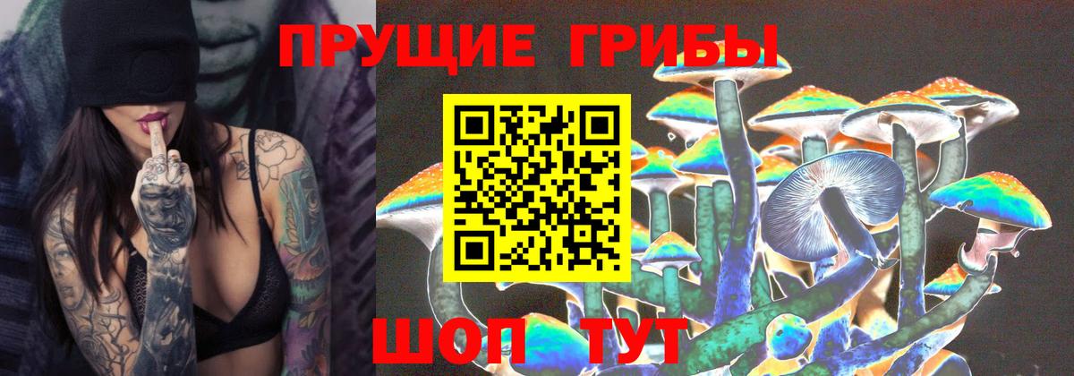 Псилоцибиновые грибы прущие грибы  Вход с VPN  Россошь 